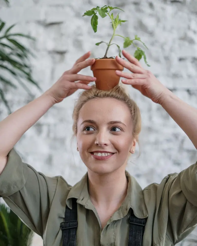 Landscaping SEO company work: a landscaping crew installing plants and stone edging